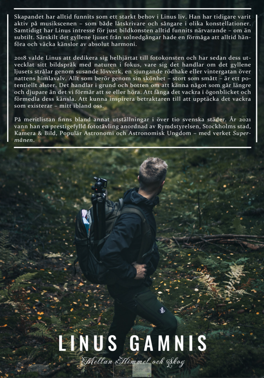 Linus Gamnis CV